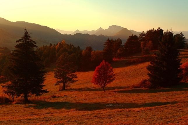 PIENINY