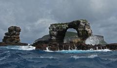 Darwin´s  Arch