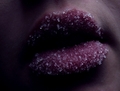 sugar lips 