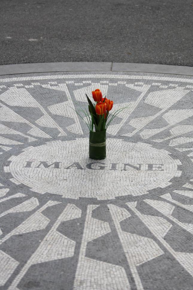 imagine