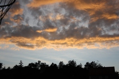 fire on the sky