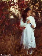 Sound of autumn