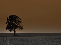 posledný generál...