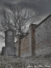 židovský