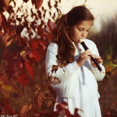 Sound of autumn II