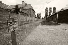 Auschwitz - Birkenau