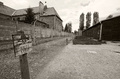 Auschwitz - Birkenau