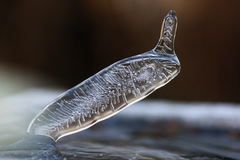 ice spike