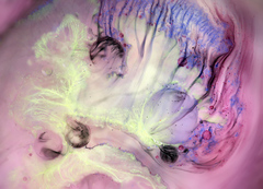 v krajine ružových snov