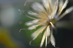 detaiil
