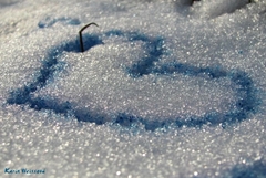 Cold love