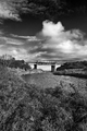 Bridge!
