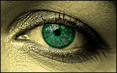 EYE !