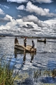 Uros
