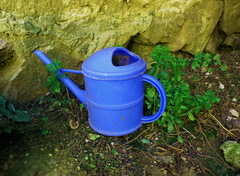 krhla