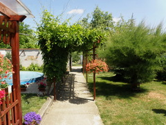 Visteria