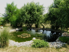 Jazierko 1