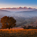 Strom - kopce - Tatry