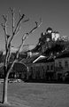 Trenciansky hrad