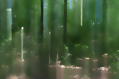 Sen