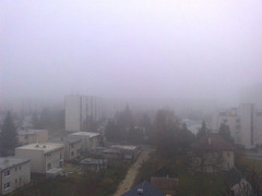 _life in a fog_
