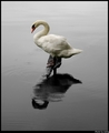 Loneliness