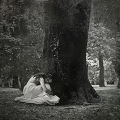 Shelter
