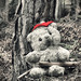 Lost Teddy