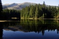 Vrbické pleso