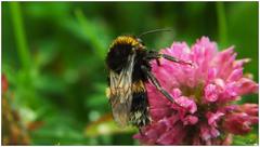 Ten dážď je otravný:)