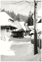 pohľad do minulosti