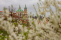 Jaro na Petříně