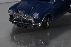 mini 2