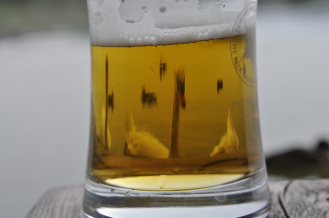 pivo či labuť