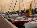 Rimini