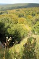 Pajštún