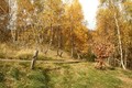 Koliba