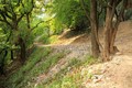 Pajštún
