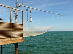 Rimini