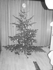 náš vianocny stromček