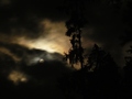 Svit luny