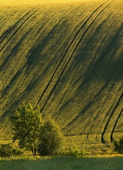 Jednoduché krásne Slovensko