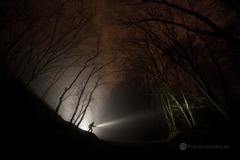 Nočný bádateľ...