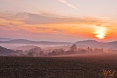 Tie krásne sparené rána...