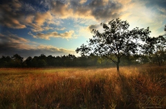 Východ na Záhorí...