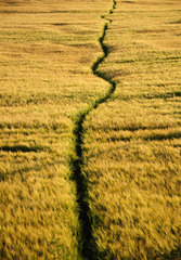 Passing summer
