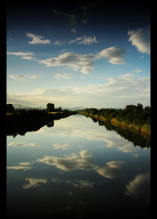 Reflections