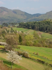 Jarná krajinka