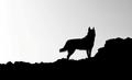 my wolf