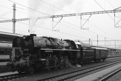 Albatros 498.104
